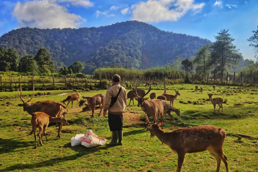 Ranca Upas dengan Sewa Mobil wisata Bandung